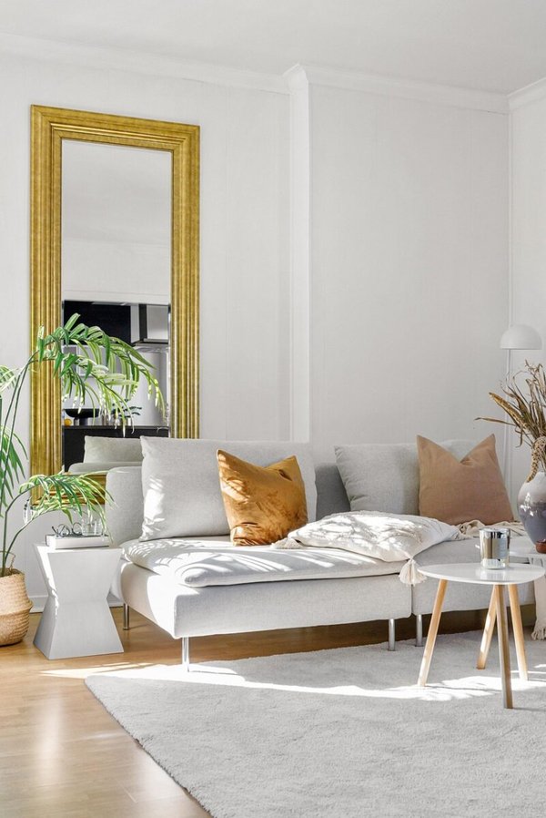 Albi Immobilier